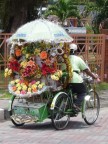 Melaka pedicab.JPG (103 KB)